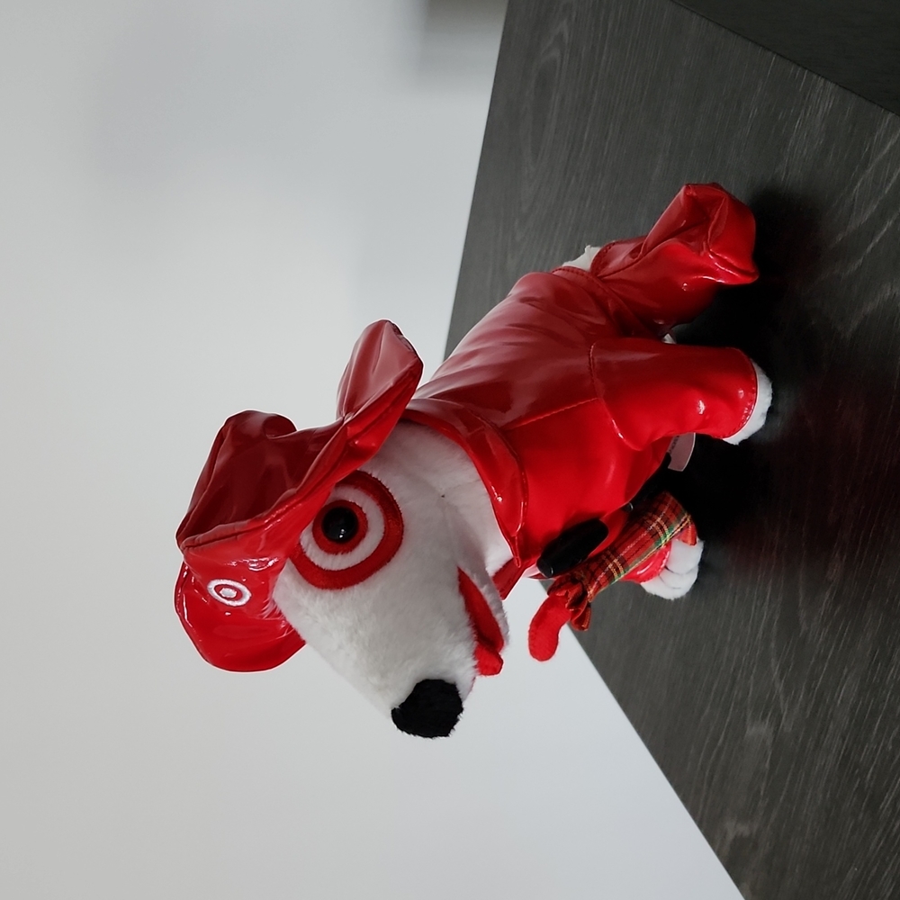 Limited Edition: Raincoat Target Dog